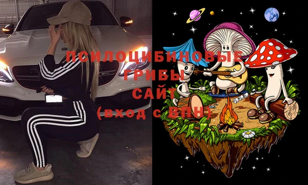 мяу мяу мука Беломорск