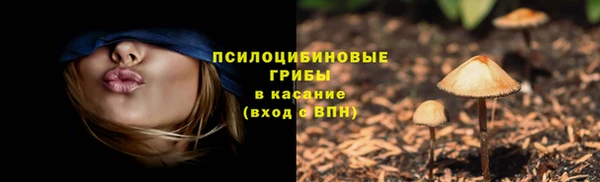соль курить ск Богородск
