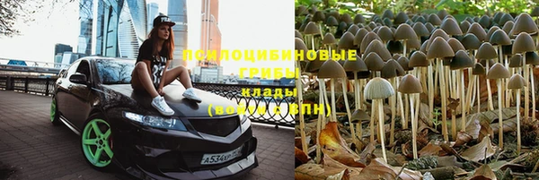 гидропоника Богородицк