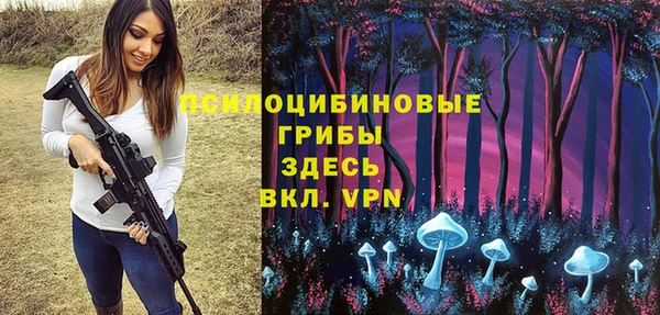 гидропоника Богородицк