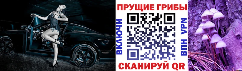 купить наркоту  Смоленск  shop клад  Псилоцибиновые грибы Magic Shrooms 